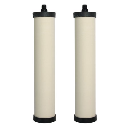 FRANKE FRX02-2PK FILTER CARTRIDGE CHLORINE TRIFLO 2PK