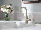 MOEN 64430BN Jase One-Handle Single Hole Bathroom Sink Faucet - Brushed Nickel