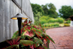 KICHLER 15870AZT27R 6" Dome 2700K Led Path Light Textured Architectural Bronze