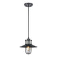 ELK SHOWROOM 69375/1 Coastal Farm 10'' Wide 1-Light Outdoor Pendant - Charcoal