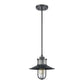 ELK SHOWROOM 69375/1 Coastal Farm 10'' Wide 1-Light Outdoor Pendant - Charcoal