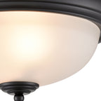 THOMAS 7003FM/60 Basics 13'' Wide 2-Light Flush Mount - Black