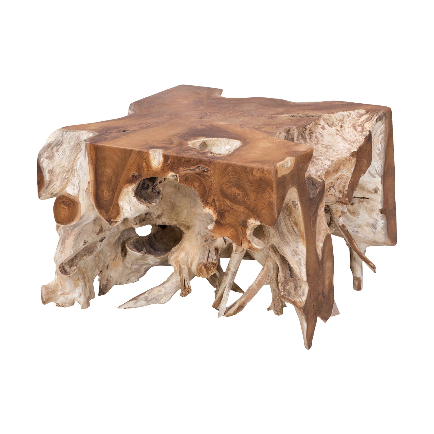 ELK SIGNATURE 7117523 Root Coffee Table