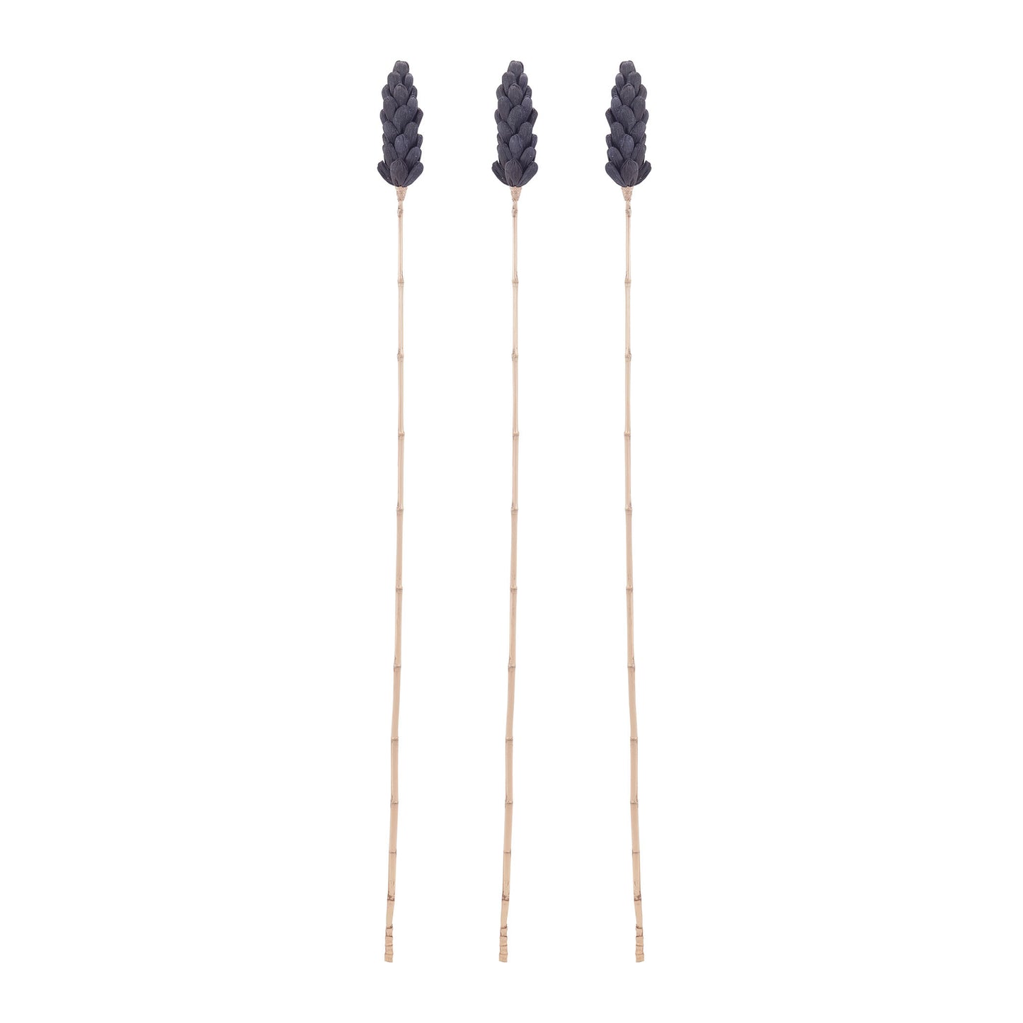 ELK STUDIO 7159-027/S3 Bronze Corn Leaf Stem (Set of 3)