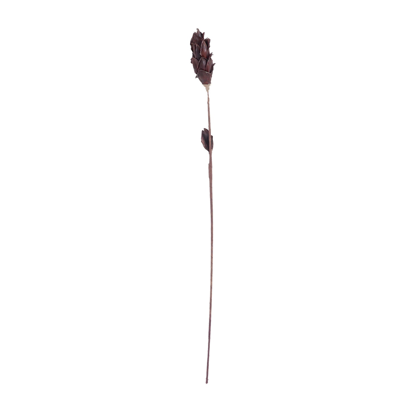 ELK SIGNATURE 7163-069B Black Corn Leaf Pole