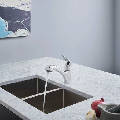 GROHE 33330001 Eurodisc Single-Handle Pull-Out Kitchen Faucet Dual Spray 1.75 GPM - Chrome