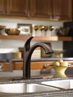 MOEN 7545ORB Camerist One-Handle Pullout Kitchen Faucet - Oil Rubbed Bronze