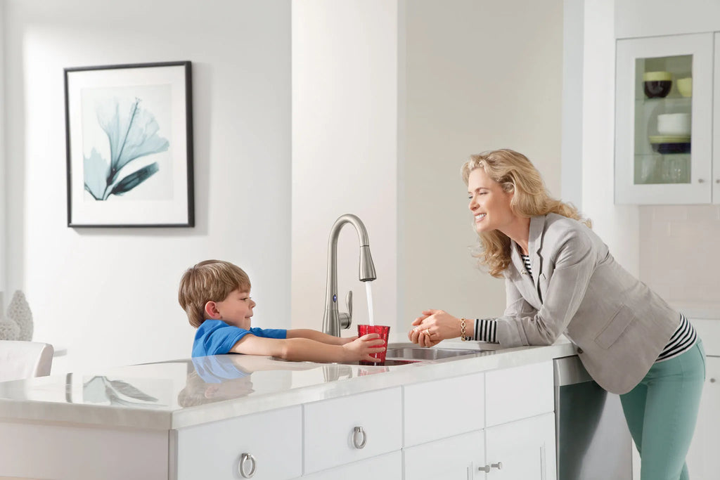 MOEN 7594ESRS Arbor Chrome One-Handle High Arc Pulldown Kitchen Faucet - Spot Resist Stainless