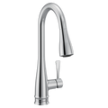 MOEN 7804 Riverwood One-Handle Kitchen Faucet - Chrome