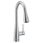 MOEN 7804 Riverwood One-Handle Kitchen Faucet - Chrome
