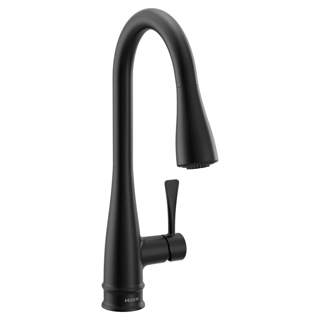 MOEN 7804BL Riverwood Chrome One-Handle Kitchen Faucet - Matte Black