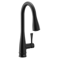 MOEN 7804BL Riverwood Chrome One-Handle Kitchen Faucet - Matte Black