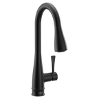 MOEN 7804BL Riverwood Chrome One-Handle Kitchen Faucet - Matte Black