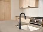 MOEN 7804BL Riverwood Chrome One-Handle Kitchen Faucet - Matte Black