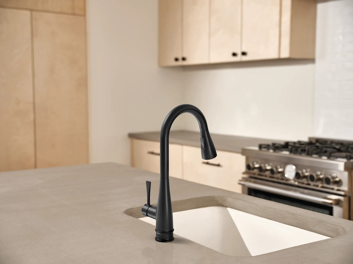 MOEN 7804BL Riverwood Chrome One-Handle Kitchen Faucet - Matte Black