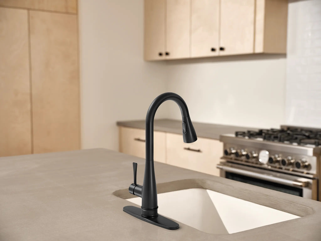 MOEN 7804BL Riverwood Chrome One-Handle Kitchen Faucet - Matte Black