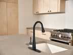 MOEN 7804BL Riverwood Chrome One-Handle Kitchen Faucet - Matte Black
