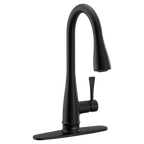 MOEN 7804BL Riverwood Chrome One-Handle Kitchen Faucet - Matte Black