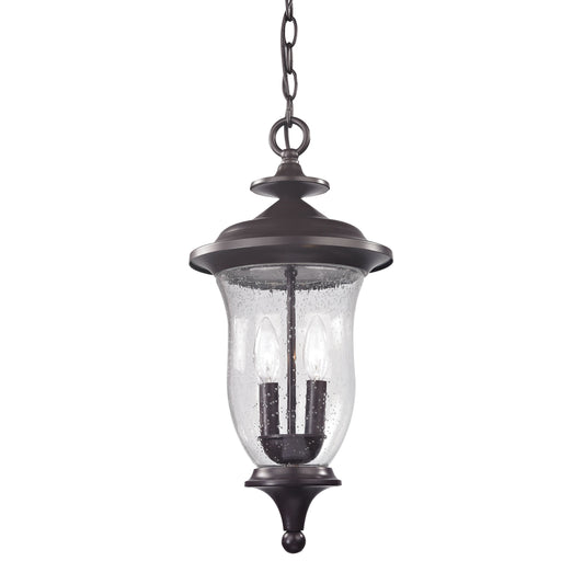 THOMAS 8002EH/75 Trinity 9'' Wide 2-Light Outdoor Pendant - Oil Rubbed Bronze