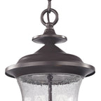 THOMAS 8002EH/75 Trinity 9'' Wide 2-Light Outdoor Pendant - Oil Rubbed Bronze