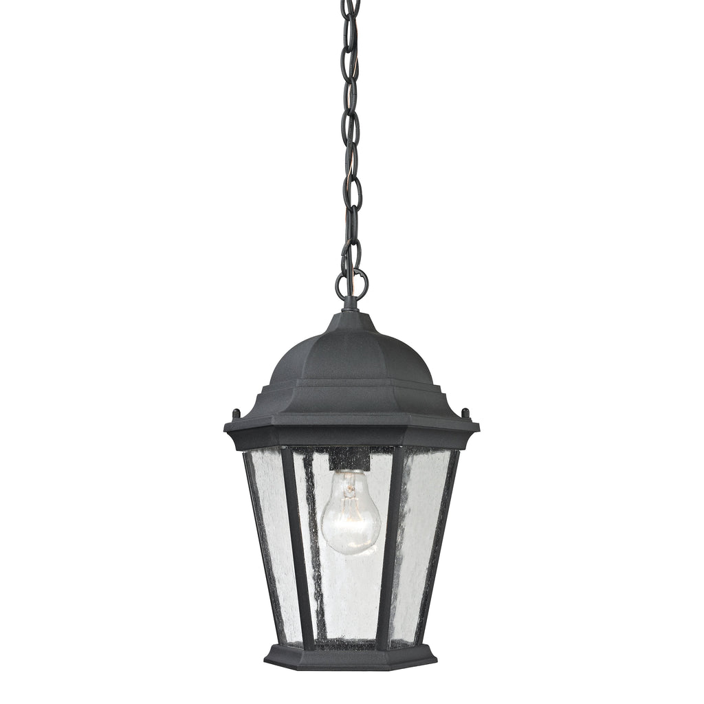 THOMAS 8101EH/65 Temple Hill 10'' Wide 1-Light Outdoor Pendant - Matte Textured Black