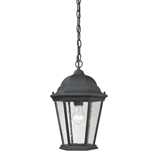 THOMAS 8101EH/65 Temple Hill 10'' Wide 1-Light Outdoor Pendant - Matte Textured Black