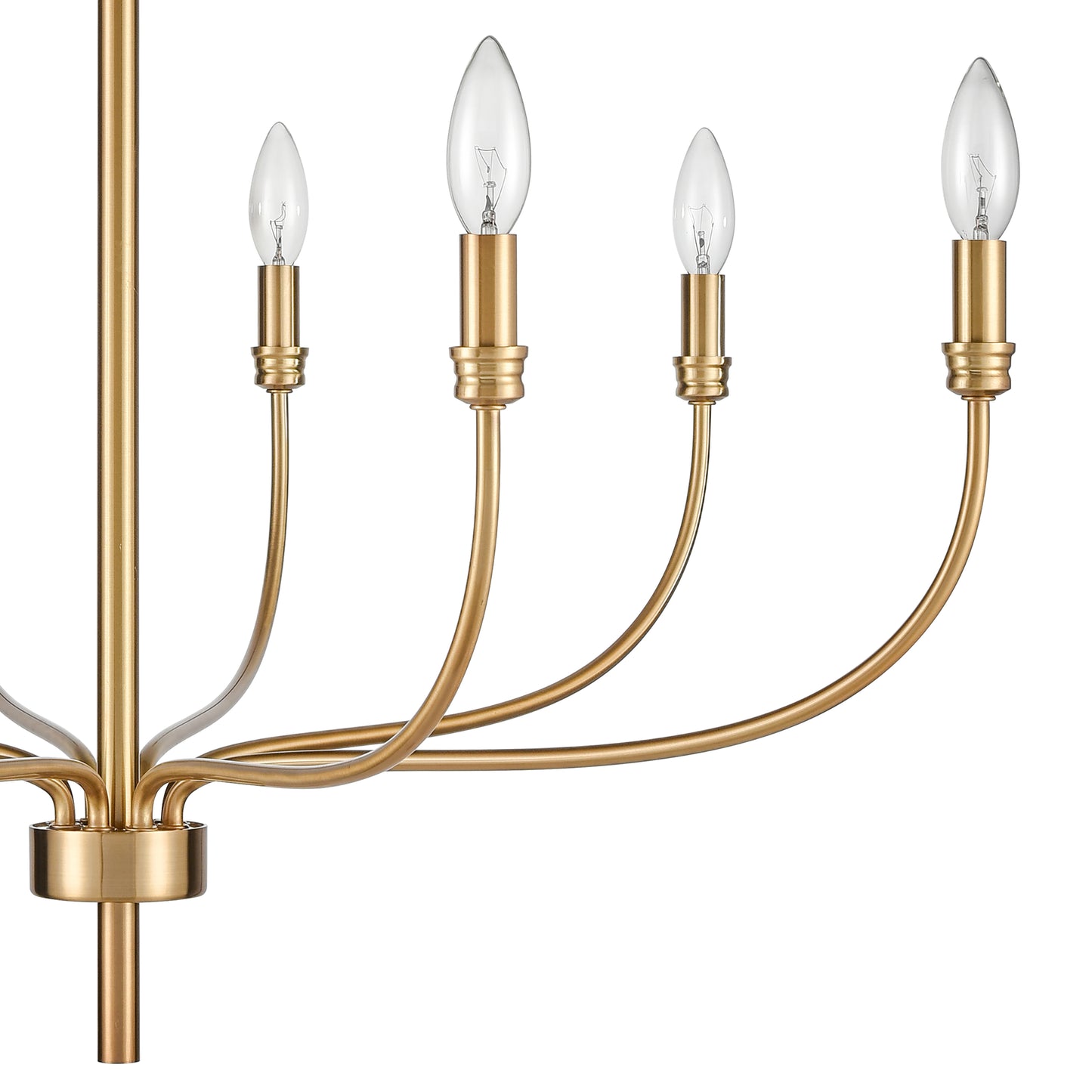 ELK SHOWROOM 81507/8 Newland 34'' Wide 8-Light Chandelier - Satin Brass