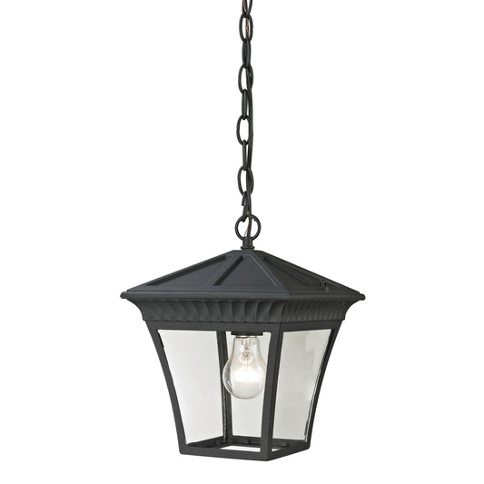 THOMAS 8411EH/65 Ridgewood 9'' Wide 1-Light Outdoor Pendant - Matte Textured Black