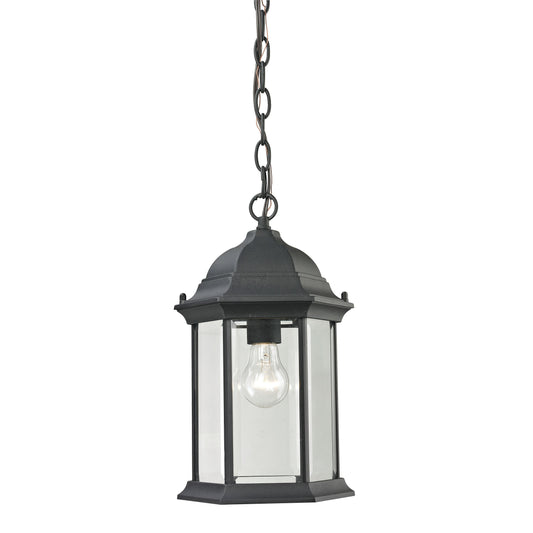 THOMAS 8601EH/65 Spring Lake 8'' Wide 1-Light Outdoor Pendant - Matte Textured Black