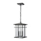 ELK SHOWROOM 89365/3 Oak Park 9'' Wide 3-Light Outdoor Pendant - Matte Black