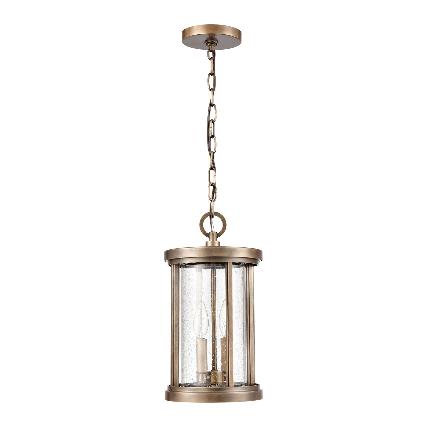 ELK SHOWROOM 89395/2 Brison 8'' Wide 2-Light Outdoor Pendant - Vintage Brass