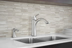 MOEN S3948C Transitional Soap Dispenser - Chrome