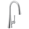 MOEN 9126 Kurv One-Handle High Arc Pulldown Kitchen Faucet - Chrome