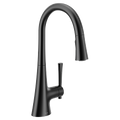 MOEN 9126BL Kurv One-Handle High Arc Pulldown Kitchen Faucet - Matte Black