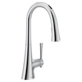 MOEN 9126EV2C Kurv One-Handle High Arc Pulldown Kitchen Faucet - Chrome