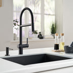 FRANKE ACT-SP-MBK Active 16.5-in Single Handle Semi-Pro Faucet in Matte Black In Matte Black