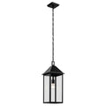 KICHLER 59160BK Prin 22 Inch 1 Light Outdoor Pendant With Clear Glass In Black