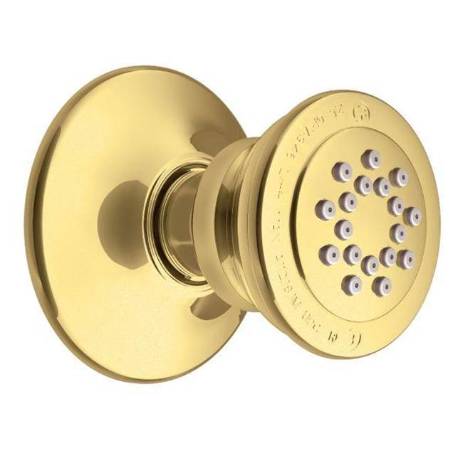 MOEN A501P Chrome Body Spray - Polished Brass