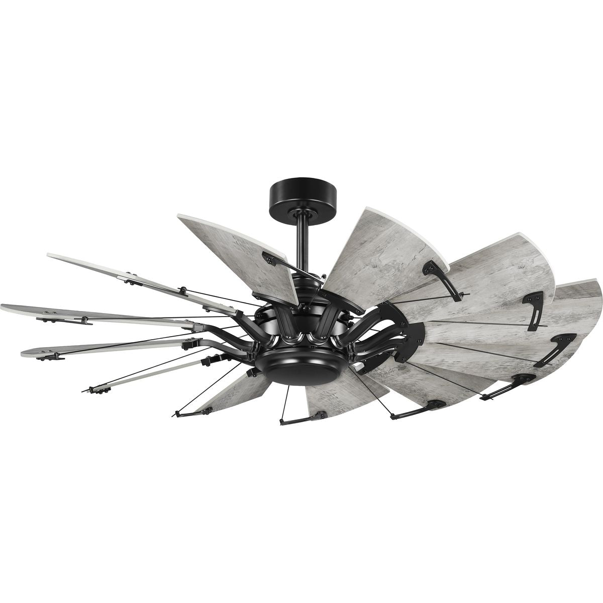 PROGRESS LIGHTING P250065-31M Matte Black Springer Collection 52-Inch Matte Black 12-Blade DC Motor Windmill Ceiling Fan