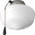 PROGRESS LIGHTING P2601-141WB Galvanized Finish AirPro Collection One-Light Ceiling Fan Light