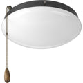 PROGRESS LIGHTING P2602-143WB Graphite Two-Light Universal Opal Glass Fan Light Kit