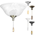 PROGRESS LIGHTING P2612-01WB Unfinished AirPro Collection Two-Light Ceiling Fan Light