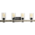 PROGRESS LIGHTING P300126-143 Graphite Gulliver Collection Four-Light Graphite Clear Seeded Glass Coastal Bath Vanity Light