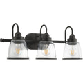 PROGRESS LIGHTING P300180-020 Antique Bronze Saluda Collection Three-Light Bath & Vanity