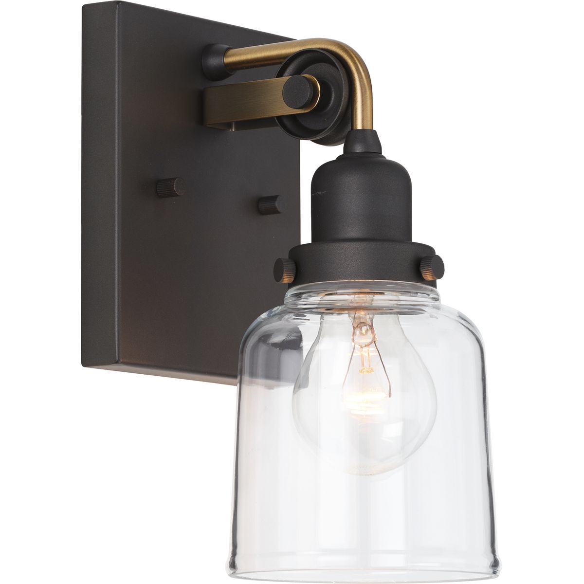 PROGRESS LIGHTING P300226-143 Graphite Rushton Collection One-Light Graphite Clear Glass Farmhouse Bath Vanity Light