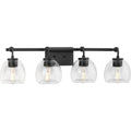 PROGRESS LIGHTING P300348-143 Graphite Caisson Collection Four-Light Graphite Clear Glass Urban Industrial Bath Vanity Light