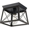 PROGRESS LIGHTING P350022-031 Textured Black Briarwood Collection One-Light Textured and Cerused Black Farmhouse Style Flush Mount Ceiling Light