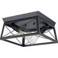 PROGRESS LIGHTING P350039-031 Textured Black Briarwood Collection Two-Light Textured and Cerused Black Farmhouse Style Flush Mount Ceiling Light