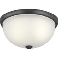 PROGRESS LIGHTING P350044-143 Graphite Two-Light 14" Glass Dome Flush Mount