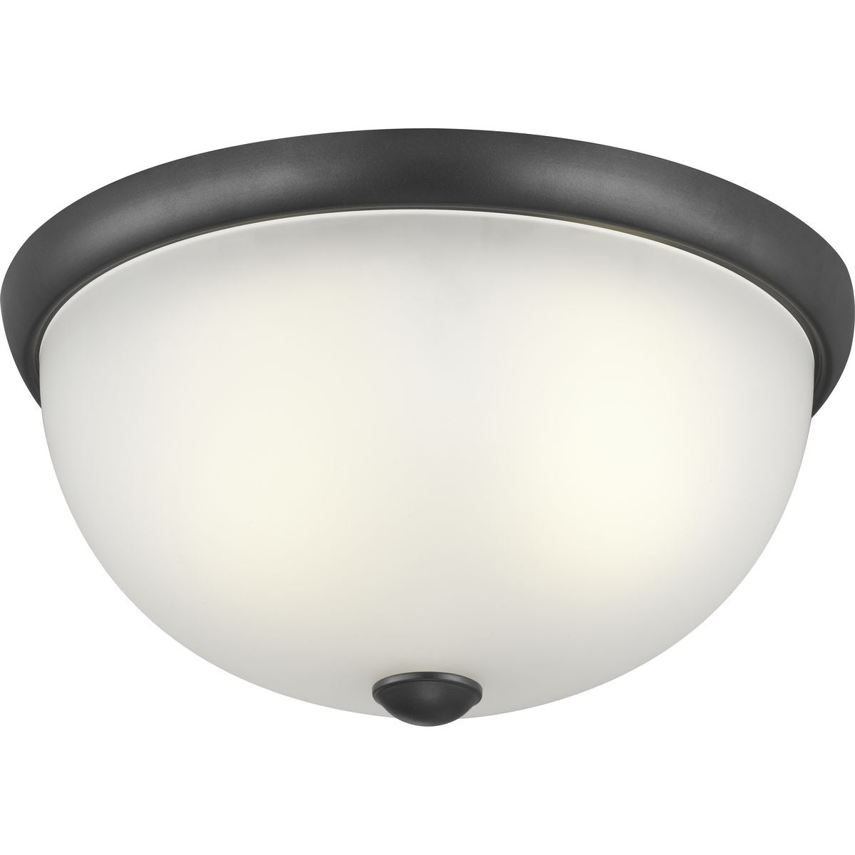 PROGRESS LIGHTING P350044-143 Graphite Two-Light 14" Glass Dome Flush Mount